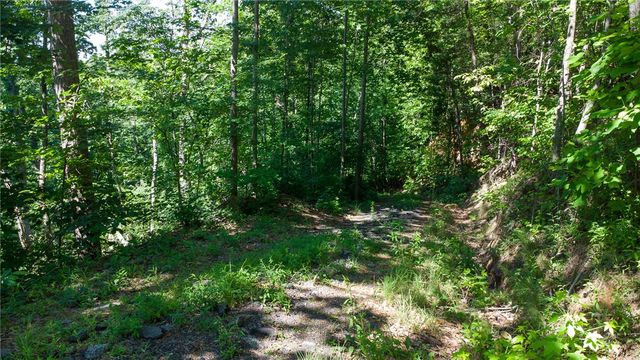 146 Glassy Falls Trail, Travelers Rest, SC 29690