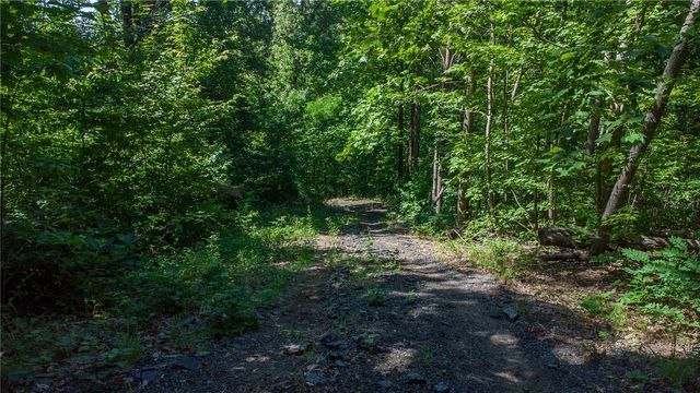 146 Glassy Falls Trail, Travelers Rest, SC 29690