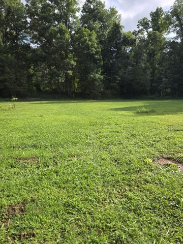 6117 Hills Creek RD, Mc Minnville, TN 37110