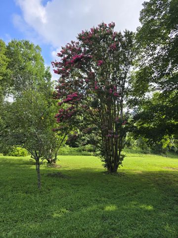 6117 Hills Creek RD, Mc Minnville, TN 37110