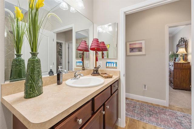 3090 AVONDALE AVENUE, The Villages, FL 32163