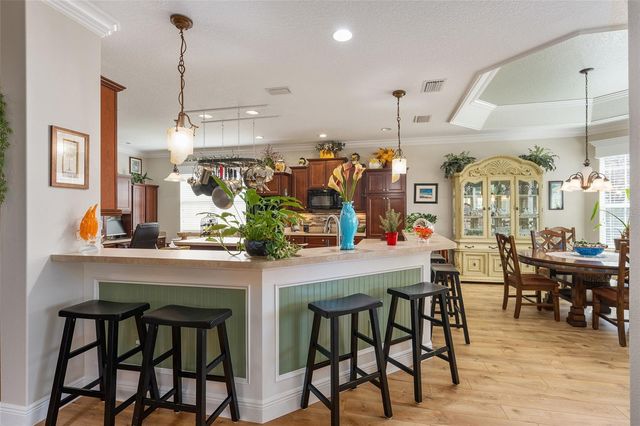 3090 AVONDALE AVENUE, The Villages, FL 32163