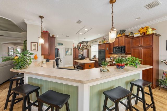 3090 AVONDALE AVENUE, The Villages, FL 32163