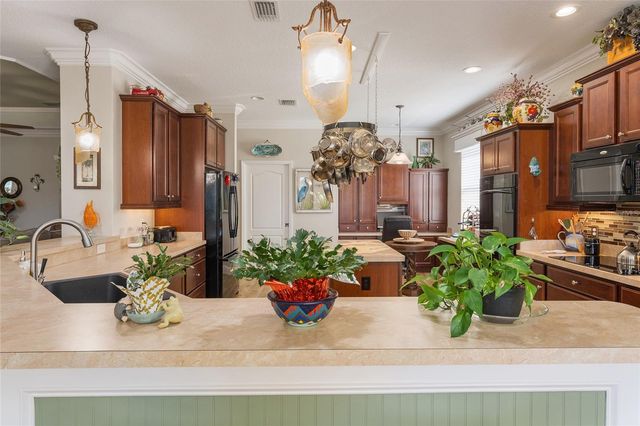 3090 AVONDALE AVENUE, The Villages, FL 32163