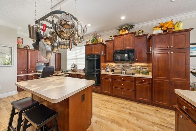 3090 AVONDALE AVENUE, The Villages, FL 32163