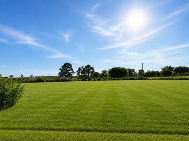 13203 Walker Street, Santa Fe, TX 77510