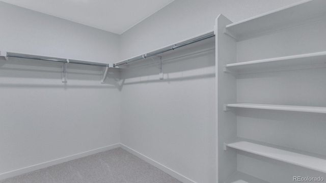 14204 Beebalm Avenue, Parker, CO 80134