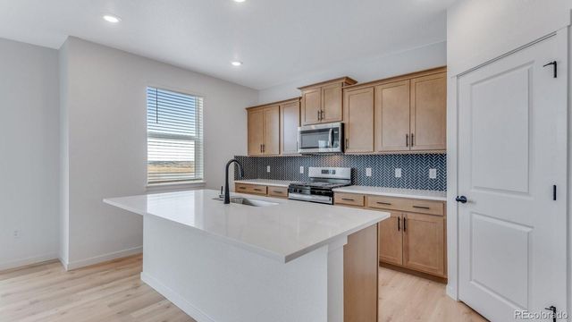 14204 Beebalm Avenue, Parker, CO 80134