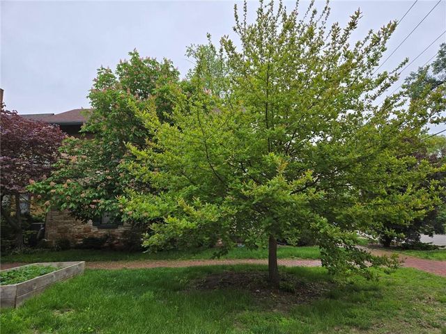 646 LOUISIANA Street, Lawrence, KS 66044