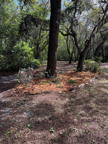 29716 DEERWOOD FARMS ROAD, Sorrento, FL 32776