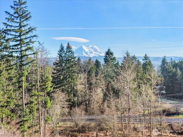 41524 Meridian E, Eatonville, WA 98328