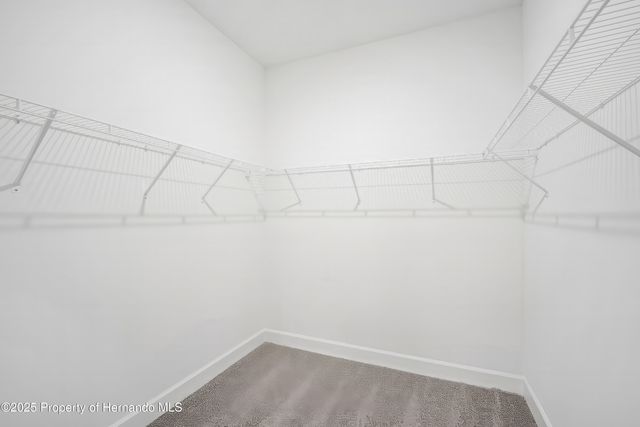 9127 PLAYERS Drive, Weeki Wachee, FL 34613