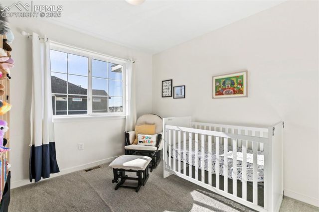 9238 Delgany Point, Colorado Springs, CO 80927