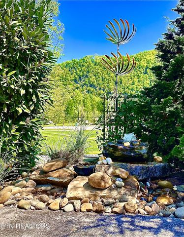 Lot 213 HIghway 73, Townsend, TN 37882
