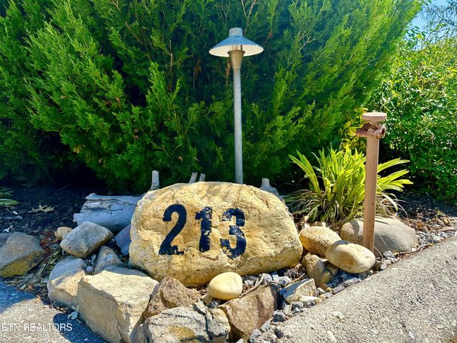 Lot 213 HIghway 73, Townsend, TN 37882