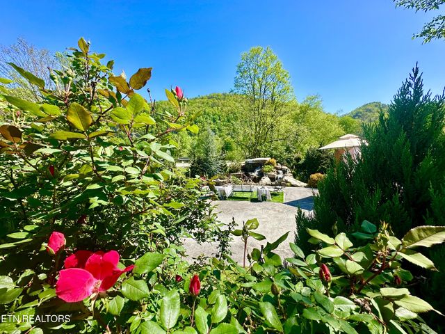 Lot 213 HIghway 73, Townsend, TN 37882
