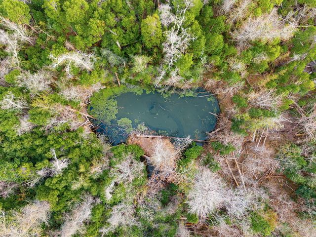 5203 E 4Th Street, Panama City, FL 32404