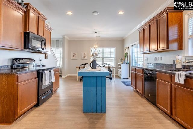 233 Jackstay Court, Chapin, SC 29036