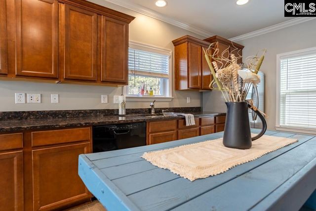 233 Jackstay Court, Chapin, SC 29036