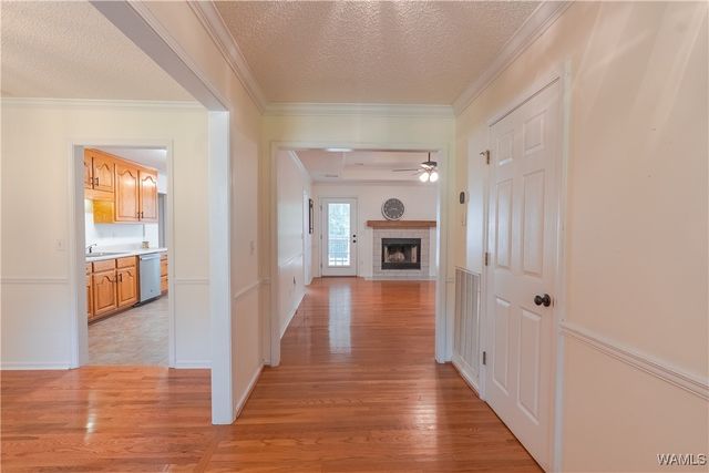 1751 Upper Lake, Cottondale, AL 35453
