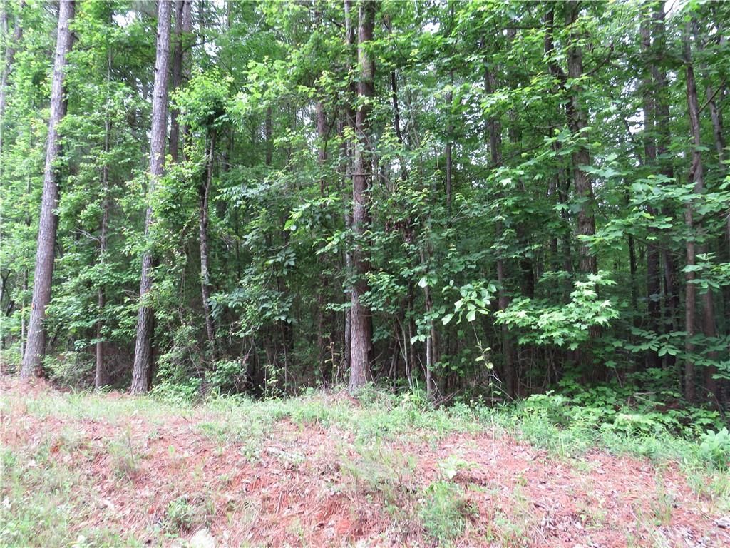 0 Doke Cohran Road, Dallas, GA 30157