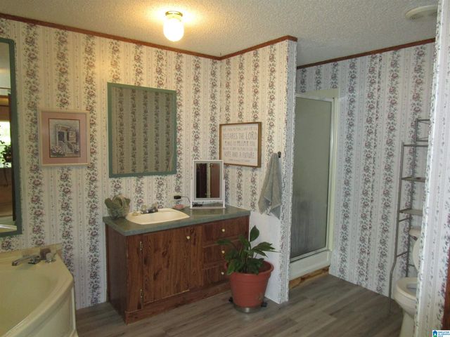 191 SHADY HILL ROAD, Warrior, AL 35180