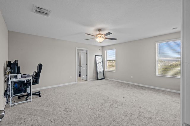 13549 WILLOW BLUESTAR LOOP, Riverview, FL 33579