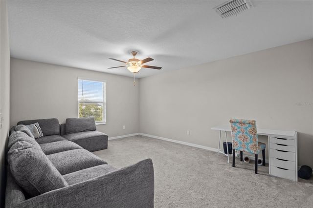 13549 WILLOW BLUESTAR LOOP, Riverview, FL 33579