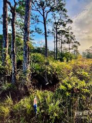 0 Gulf Crest Drive, Gulf Shores, AL 36542