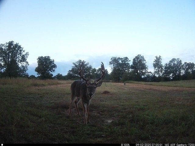 17300 Bethlehem Road, Winslow, AR 72959