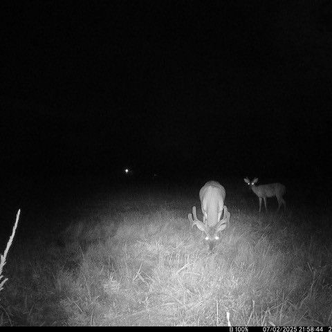 17300 Bethlehem Road, Winslow, AR 72959