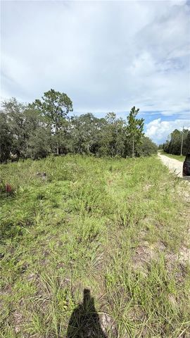 TBD NE 65TH STREET, Williston, FL 32696