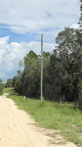 TBD NE 65TH STREET, Williston, FL 32696
