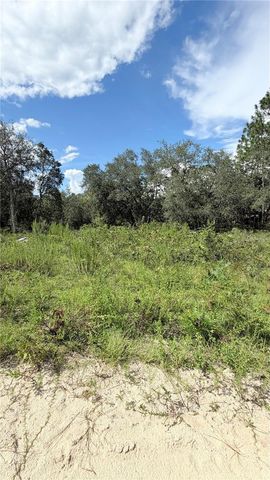 TBD NE 65TH STREET, Williston, FL 32696