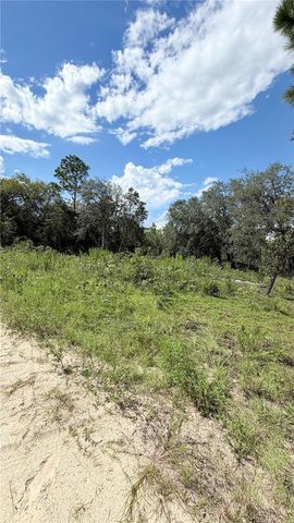 TBD NE 65TH STREET, Williston, FL 32696