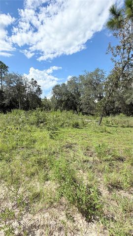 TBD NE 65TH STREET, Williston, FL 32696