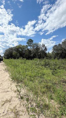 TBD NE 65TH STREET, Williston, FL 32696