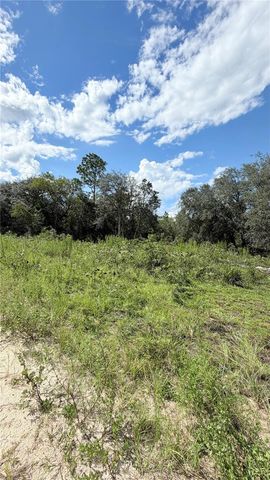 TBD NE 65TH STREET, Williston, FL 32696