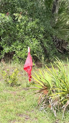 TBD NE 65TH STREET, Williston, FL 32696