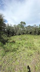TBD NE 65TH STREET, Williston, FL 32696