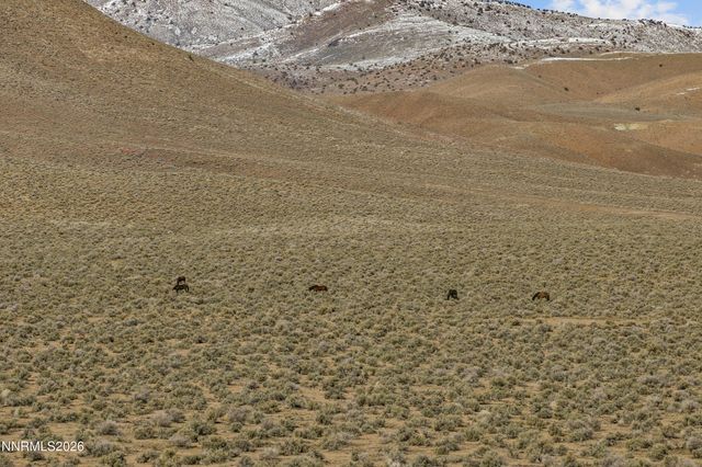 594 Pine Creek Circle, Dayton, NV 89403