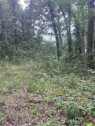 106 Red Bluff Loop, Mabank, TX 75156