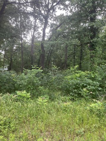 106 Red Bluff Loop, Mabank, TX 75156