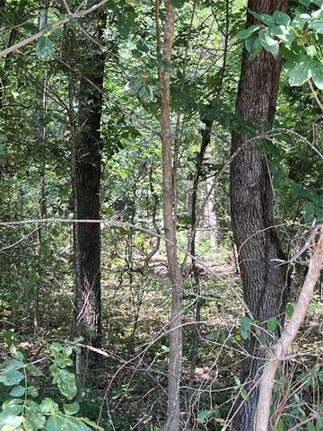 106 Red Bluff Loop, Mabank, TX 75156