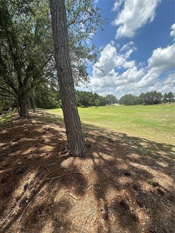 27001 WHITE PLAINS WAY, Leesburg, FL 34748
