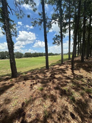 27001 WHITE PLAINS WAY, Leesburg, FL 34748