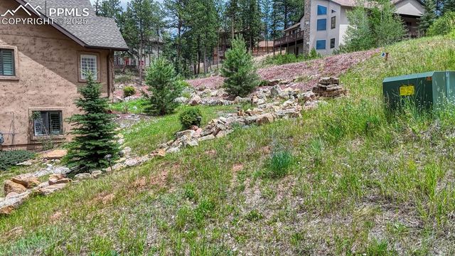 215 Iron Eagle Point, Woodland Park, CO 80863