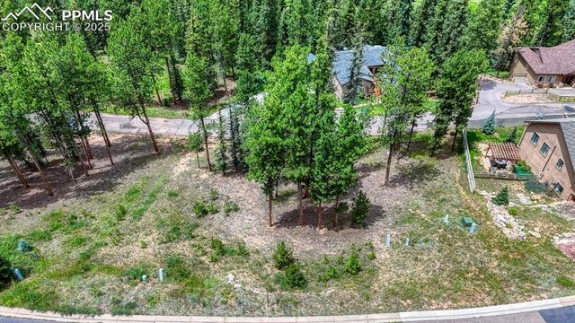 215 Iron Eagle Point, Woodland Park, CO 80863