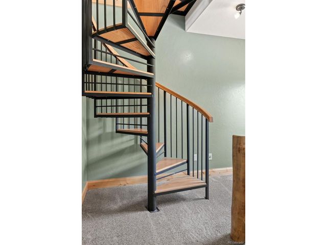 252 Running Elk Pt, Divide, CO 80814