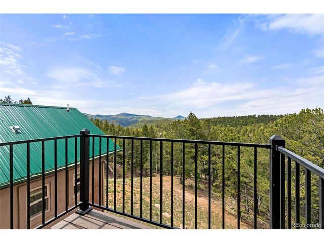 252 Running Elk Pt, Divide, CO 80814